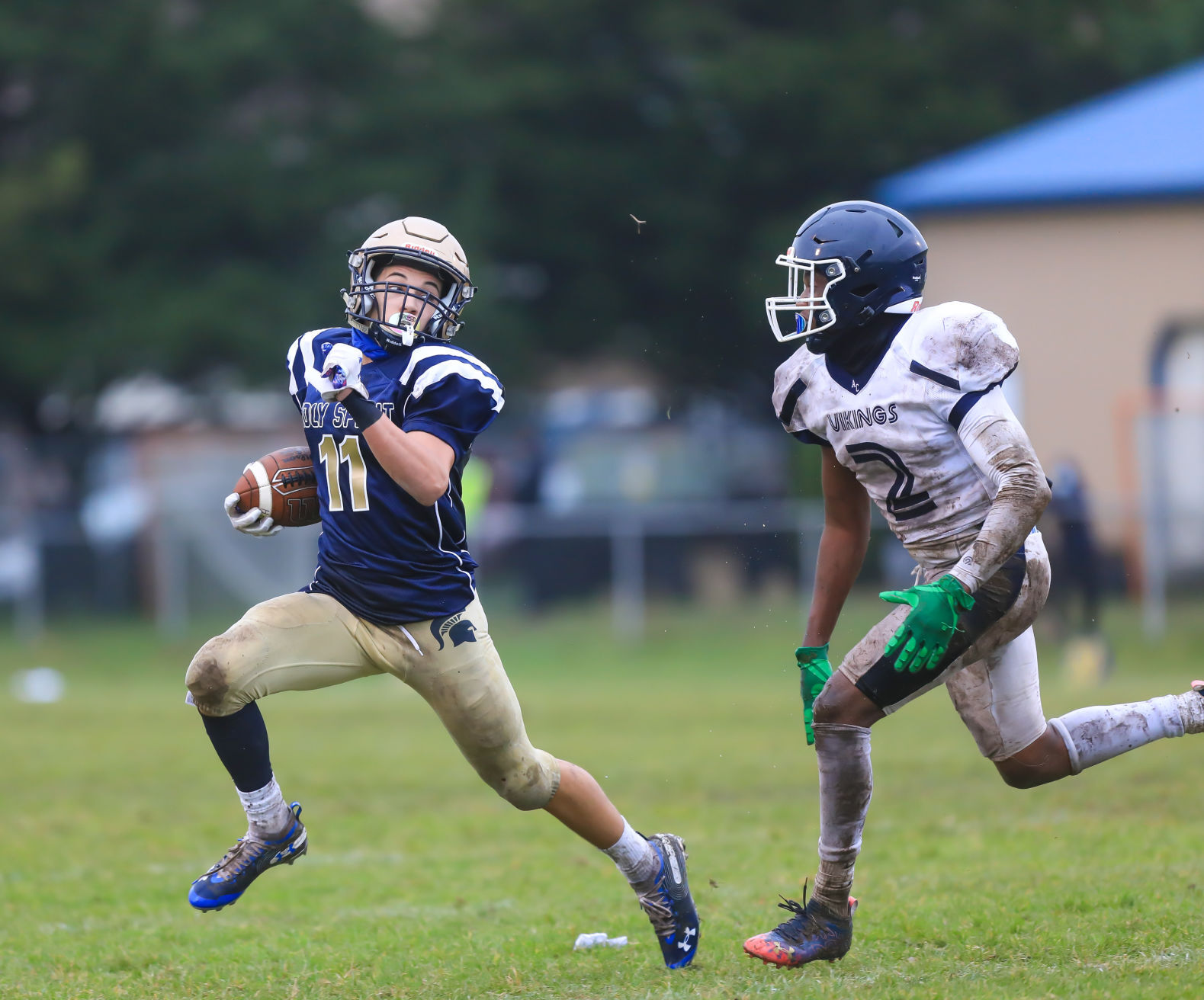 spt_HSFB